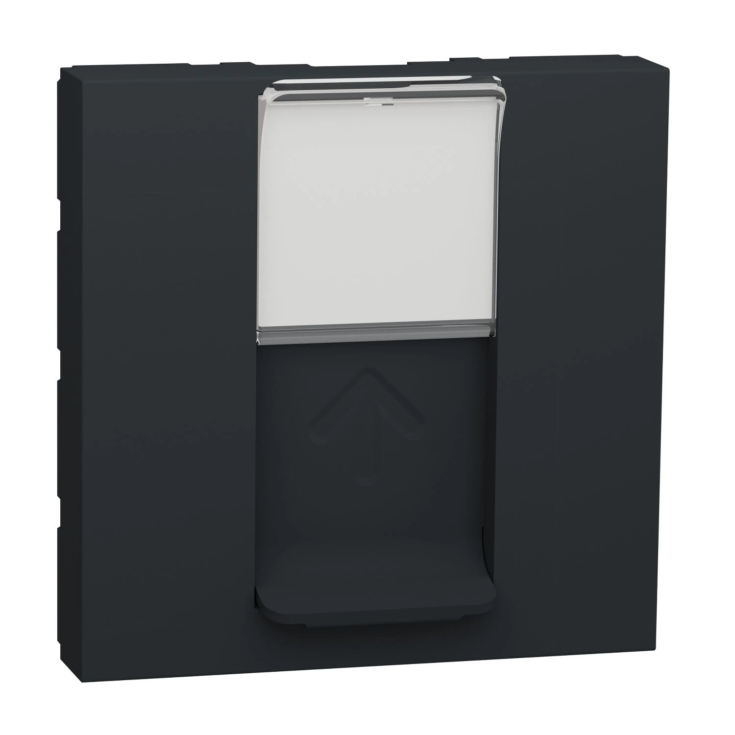 Накладка для разъема RJ45 2 модуля Unica New NU941154 антрацит Schneider Electric