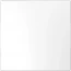 Заглушка белый лотос пластик Schneider Electric Merten D-Life MTN4075-6035