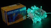Гірлянда зовнішня STRING 100LED 10m (2x5m) зелений/білий IP44 90016598 Delux
