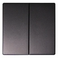 Клавіша e.lux.11021L.pn.anthracite подвійна "антрацит" серія LUX ins0040020 ENEXT