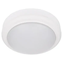 Светодиодный накладной светильник 5582 AL3005 15W 4000K IP65 Feron