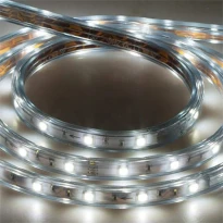 Лед лента LS704/LED-RL 60SMD 3528 4,4W/m 220V белый 100м IP68 5302 Feron