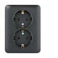 Механизм розетки с заземлением двойная Lumina черная 16А/230V WL1253 Hager