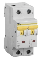 Вводный автомат ВА47-60 50A 6kA 2 полюса тип D MVA41-2-050-D IEK