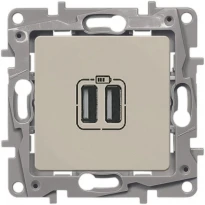 Механизм розетки 2xUSB для зарядки двойной слоновая кость 672394 Legrand Etika
