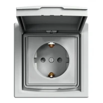 Розетка (2К+З) 16A с крышкой и шторками сталь IP44 EPH3100362 Schneider Electric Asfora