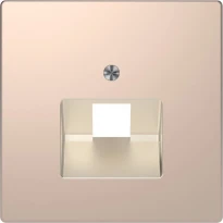 Центральная плата для розетки с разъемом RJ45 1 пост шампань металл Schneider Electric Merten D-Life MTN4521-6051