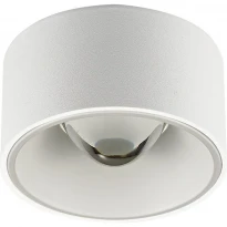 Светодиодный спотовый светильник Skarlat RSLC78042 20W WH 4000K